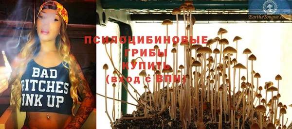 первитин Михайловск