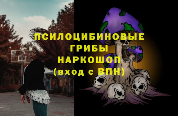 кокс Алзамай